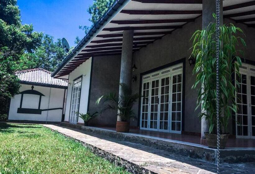 Бунгало Стандарт 3 Спальни, The Mount Royal