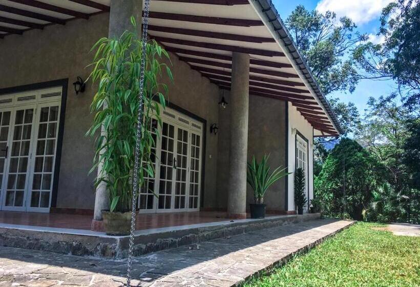 Бунгало Стандарт 3 Спальни, The Mount Royal