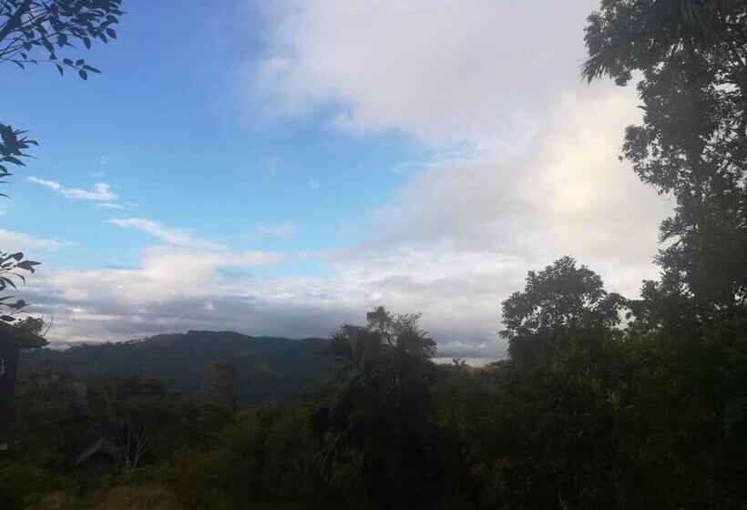 Бунгало Стандарт 3 Спальни, The Mount Royal