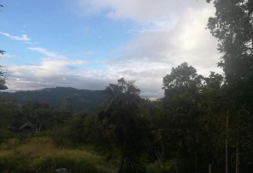 Бунгало Стандарт 3 Спальни, The Mount Royal