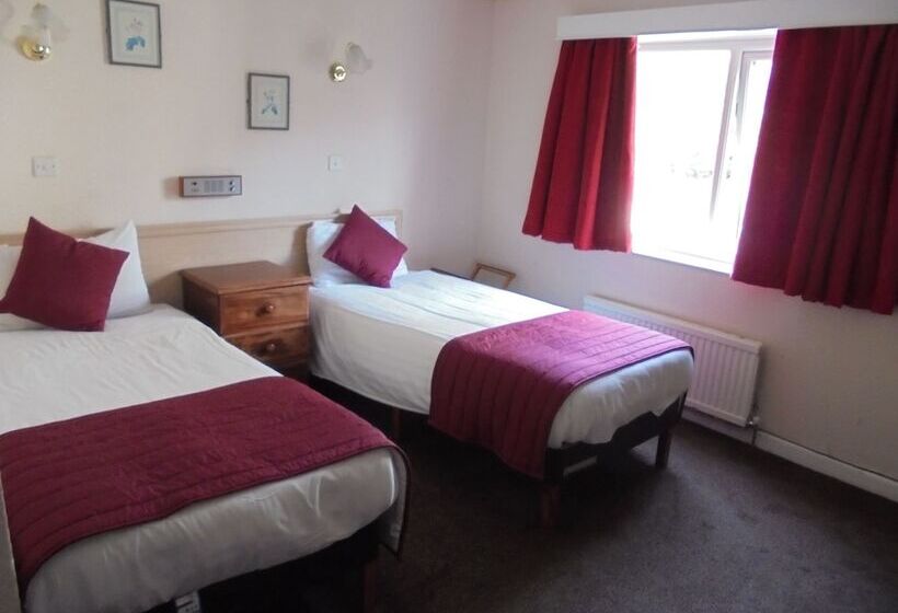 Camera Standard, Trecarn