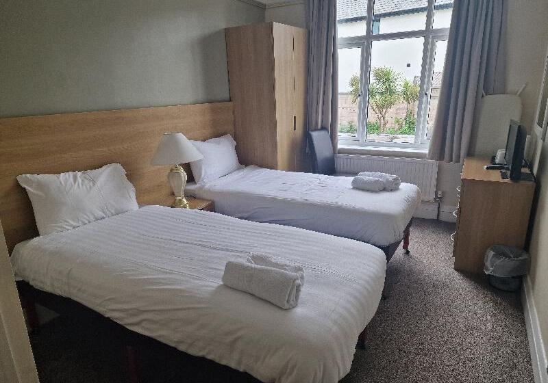 Camera Standard, Trecarn