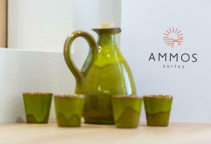 スイート（家族用）, Ammos Suites