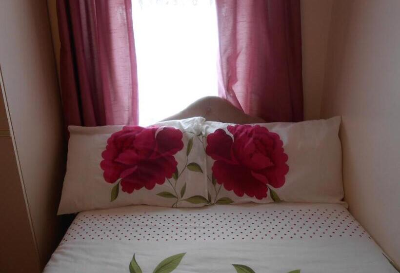 スタンダードルーム, The Lanes