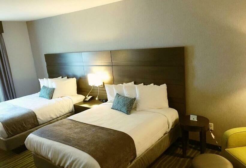 اتاق استاندارد, Best Western Plus Prien Lake Hotel & Suites   Lake Charles