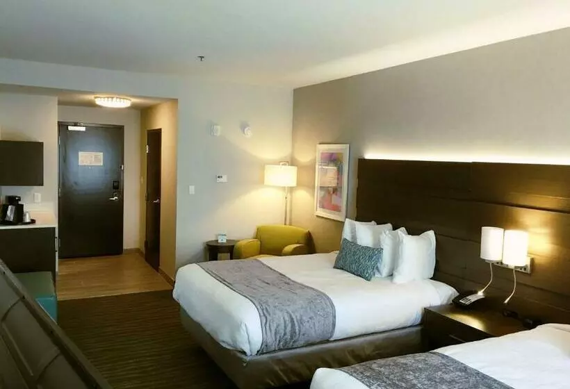 スタンダードルーム, Best Western Plus Prien Lake Hotel & Suites   Lake Charles