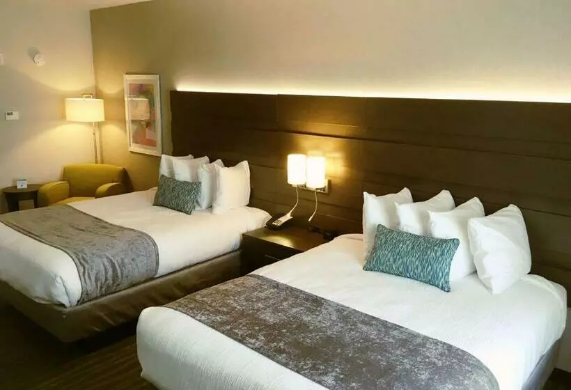 スタンダードルーム, Best Western Plus Prien Lake Hotel & Suites   Lake Charles
