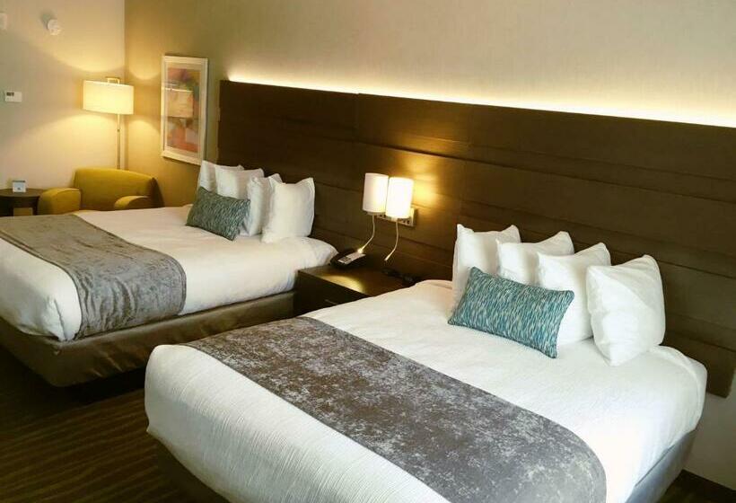 اتاق استاندارد, Best Western Plus Prien Lake Hotel & Suites   Lake Charles