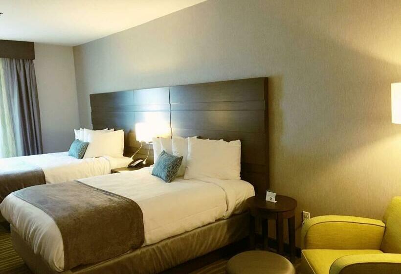 اتاق استاندارد, Best Western Plus Prien Lake Hotel & Suites   Lake Charles