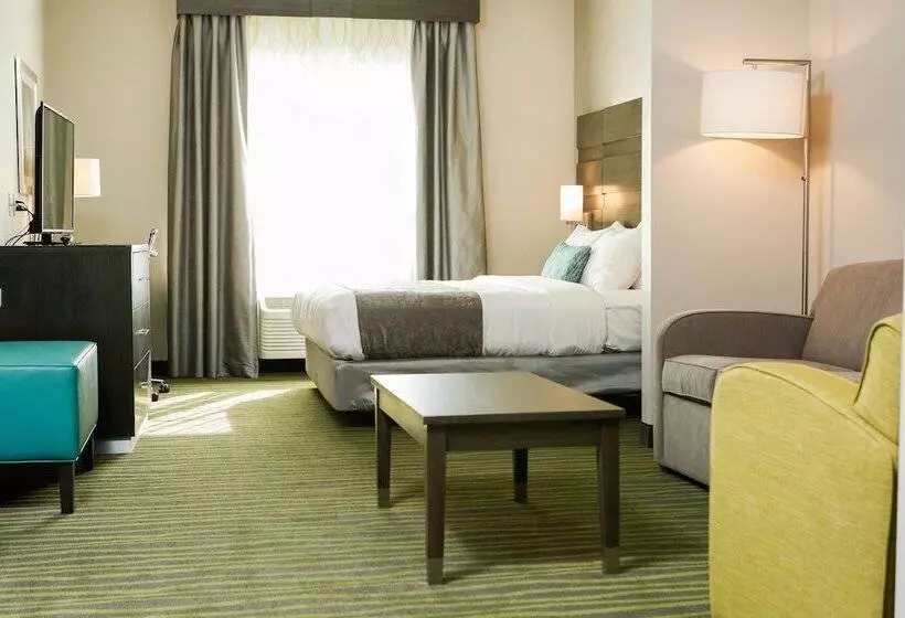 身障者適用スイートルーム, Best Western Plus Prien Lake Hotel & Suites   Lake Charles