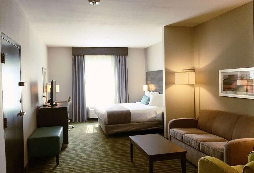 سوئیت برای معلولان, Best Western Plus Prien Lake Hotel & Suites   Lake Charles