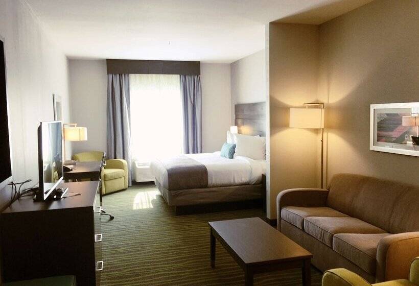 سوئیت برای معلولان, Best Western Plus Prien Lake Hotel & Suites   Lake Charles