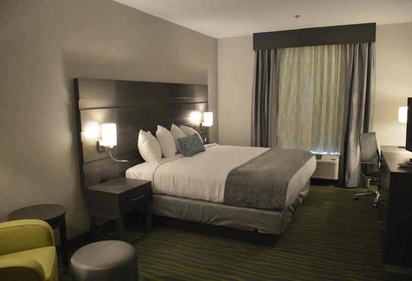 اتاق استاندارد با تخت بزرگ, Best Western Plus Prien Lake Hotel & Suites   Lake Charles