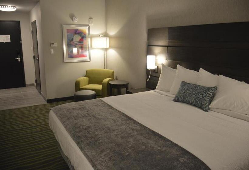 اتاق استاندارد با تخت بزرگ, Best Western Plus Prien Lake Hotel & Suites   Lake Charles