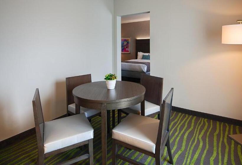 سوییت, Best Western Plus Prien Lake Hotel & Suites   Lake Charles
