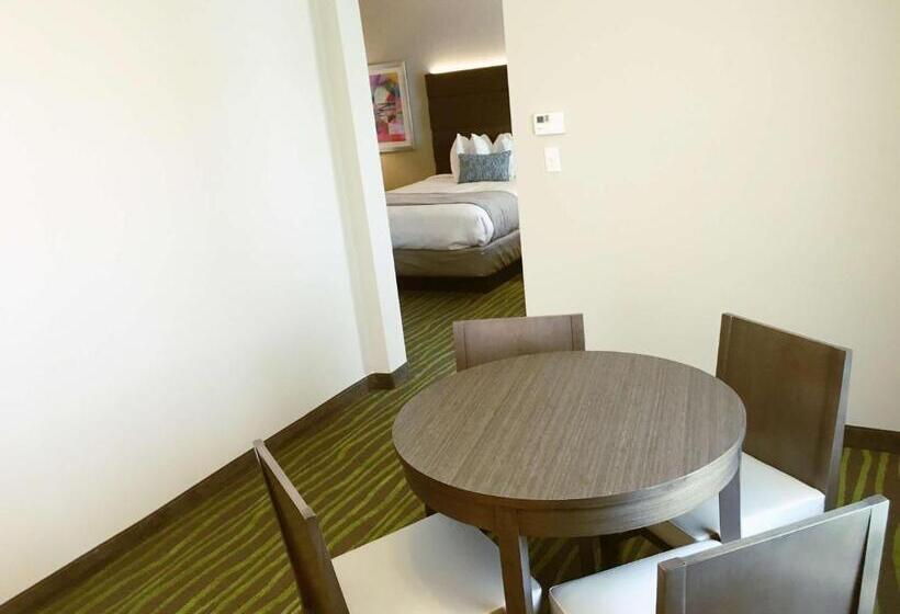 سوییت, Best Western Plus Prien Lake Hotel & Suites   Lake Charles