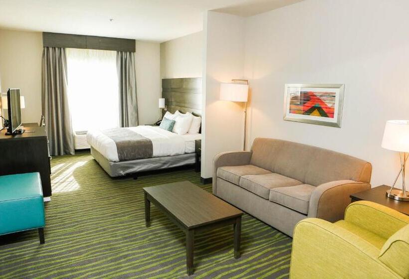 سوئیت با تخت بزرگ, Best Western Plus Prien Lake Hotel & Suites   Lake Charles