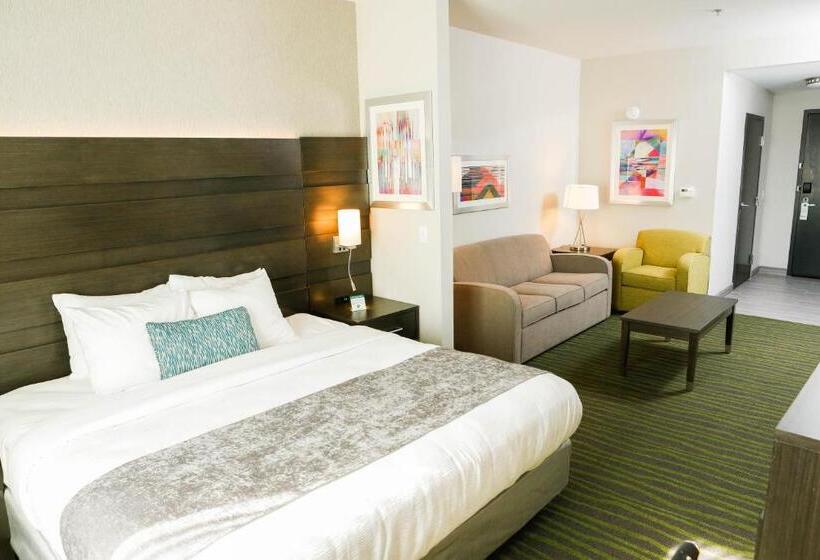 سوئیت با تخت بزرگ, Best Western Plus Prien Lake Hotel & Suites   Lake Charles