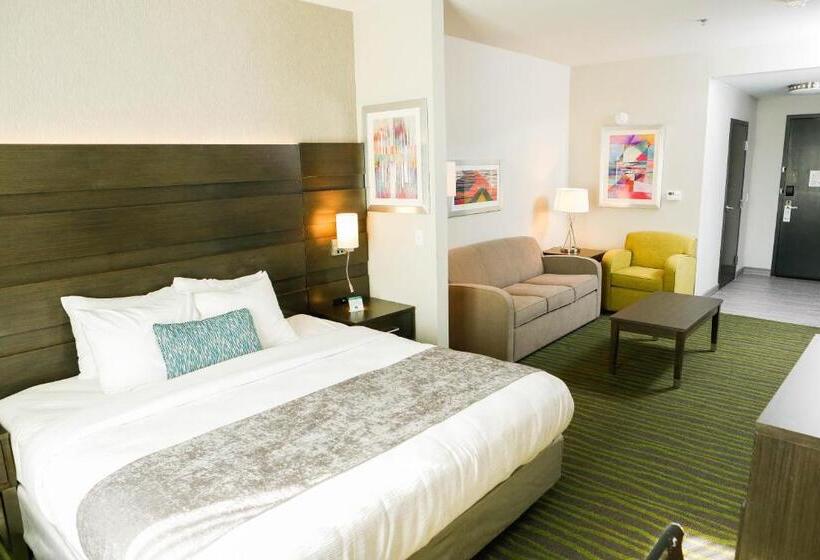 سوئیت با تخت بزرگ, Best Western Plus Prien Lake Hotel & Suites   Lake Charles