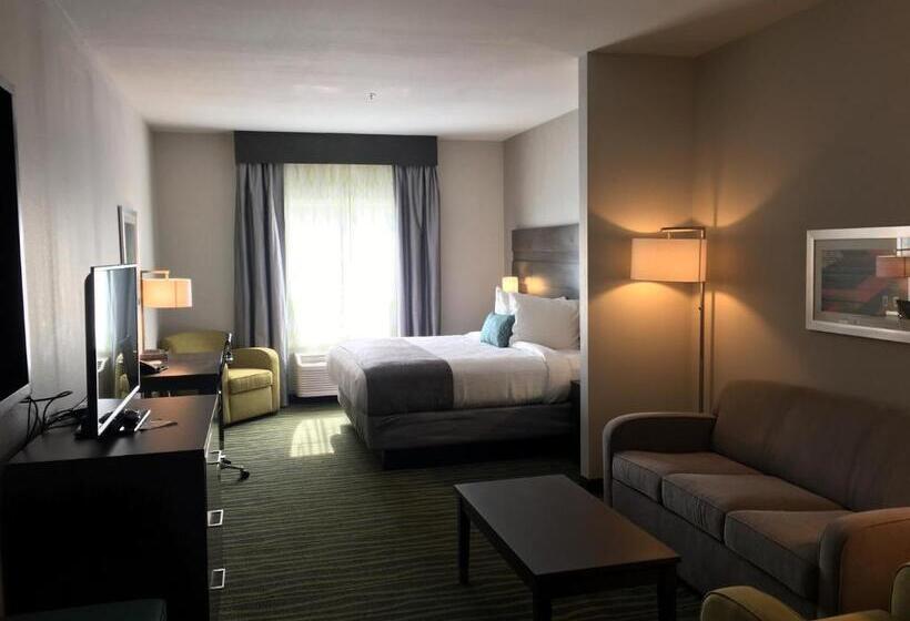 سوئیت با تخت بزرگ, Best Western Plus Prien Lake Hotel & Suites   Lake Charles