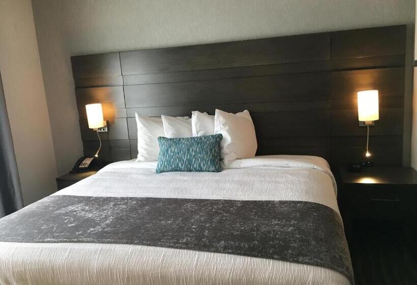 سوئیت با تخت بزرگ, Best Western Plus Prien Lake Hotel & Suites   Lake Charles