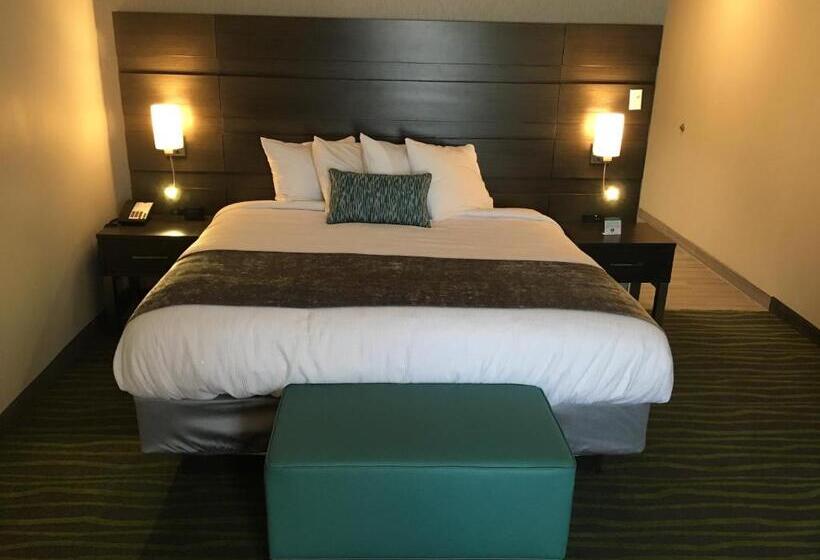 Номер Deluxe Кровать Кинг, Best Western Plus Prien Lake Hotel & Suites   Lake Charles