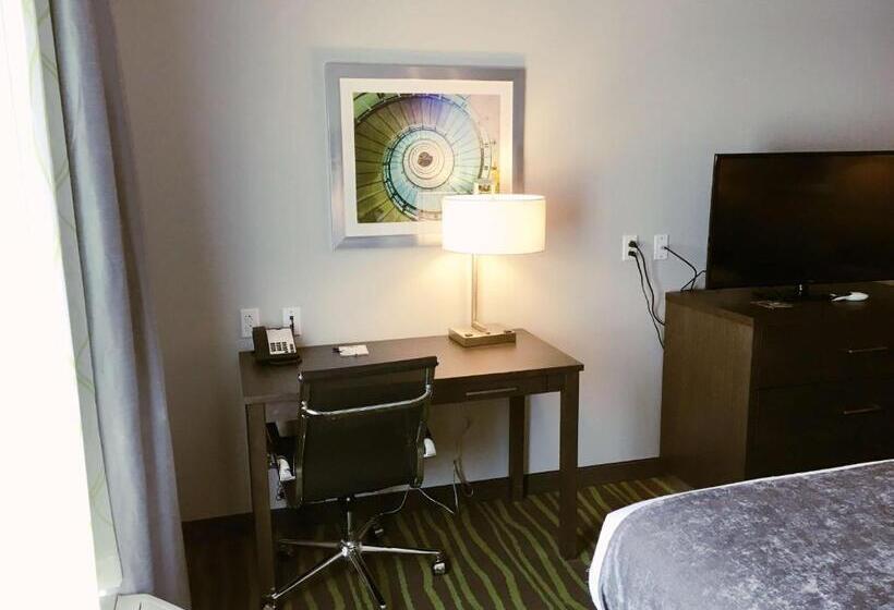 Номер Deluxe Кровать Кинг, Best Western Plus Prien Lake Hotel & Suites   Lake Charles