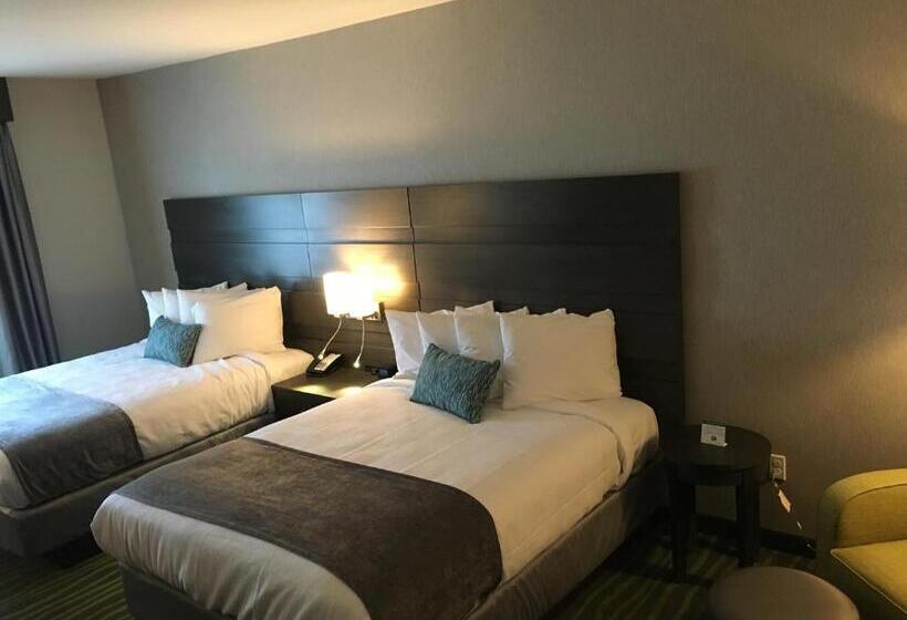 اتاق استاندارد برای معلولان, Best Western Plus Prien Lake Hotel & Suites   Lake Charles