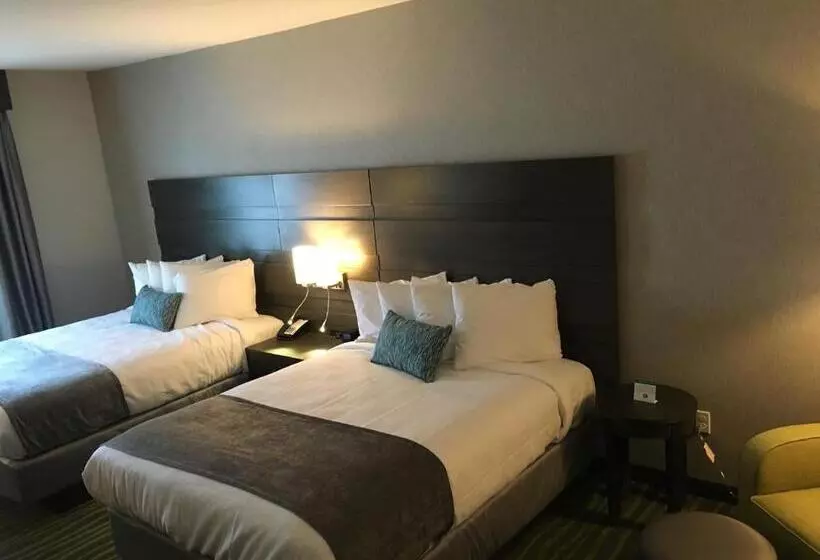 身障者適用スタンダードルーム, Best Western Plus Prien Lake Hotel & Suites   Lake Charles