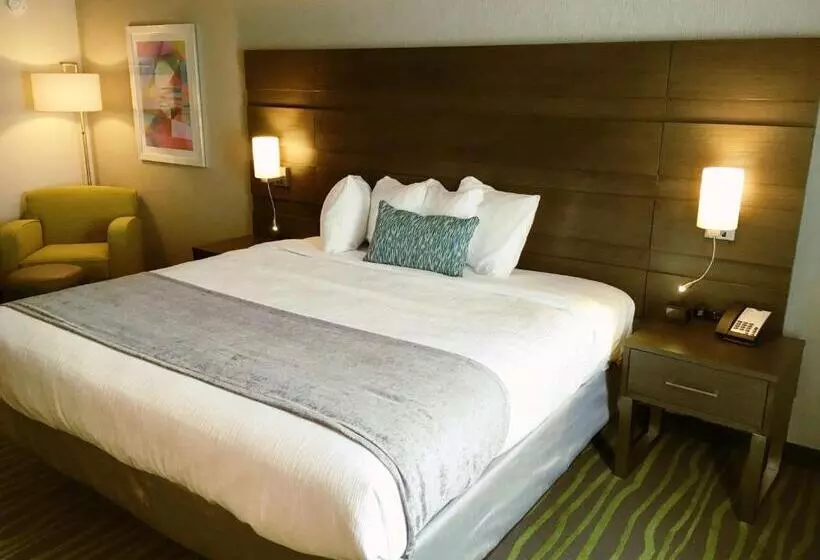 キングサイズベッドのスタンダードルーム, Best Western Plus Prien Lake Hotel & Suites   Lake Charles