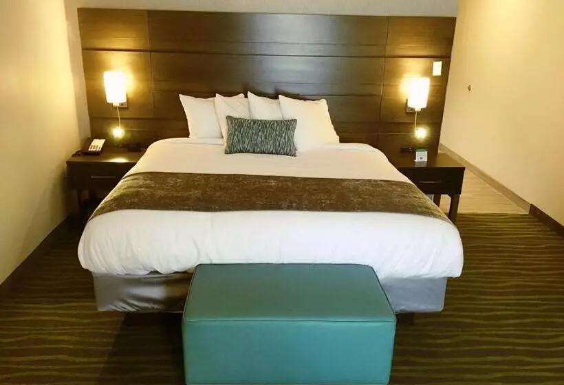 キングサイズベッドのスタンダードルーム, Best Western Plus Prien Lake Hotel & Suites   Lake Charles