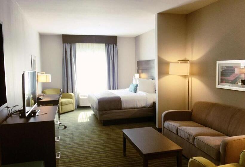 سوئیت با تخت بزرگ, Best Western Plus Prien Lake Hotel & Suites   Lake Charles