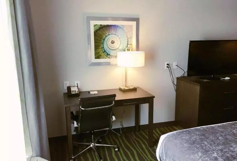 身障者適用キングサイズベッドルーム, Best Western Plus Prien Lake Hotel & Suites   Lake Charles