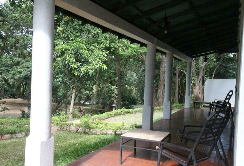 Номер Стандарт, Dambulu Oya Family Park