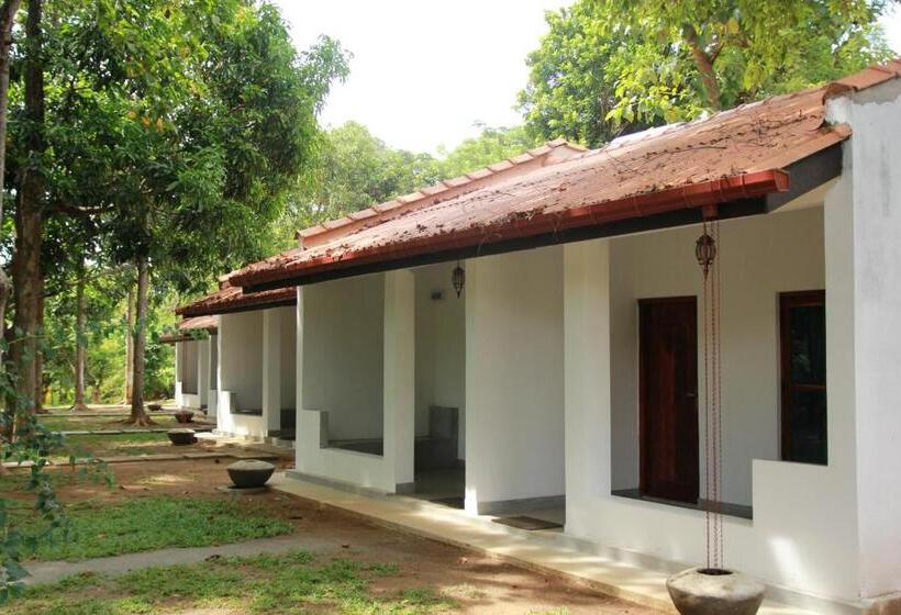 Номер Стандарт, Dambulu Oya Family Park