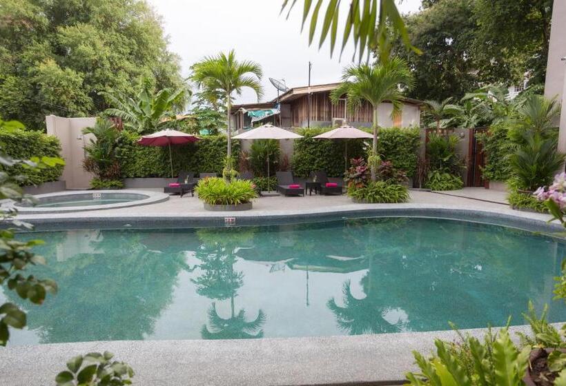 高级大房间, Golden Tulip Essential Pattaya