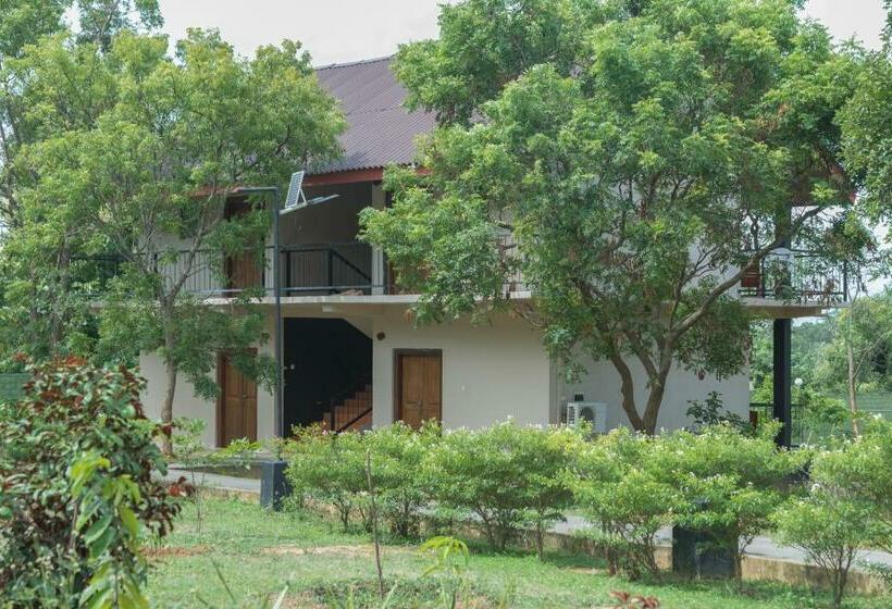 Номер Deluxe Кровать Кинг, Nice Place Resort