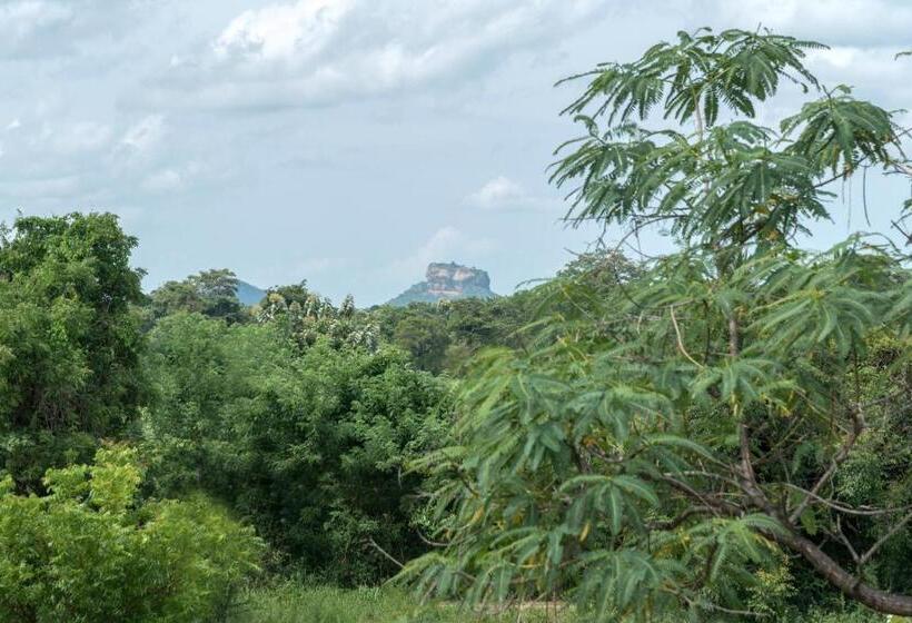 Люкс, Nice Place Resort