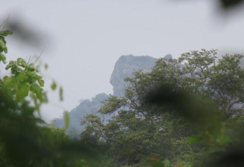 Президентский Люкс, Nice Place Resort