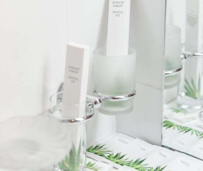 חדר ביזנס, Vodnik Club