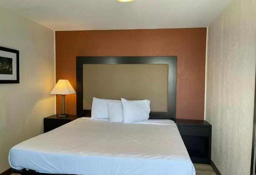 キングサイズベッドのスタンダードルーム, Wildwood Inn, A Travelodge By Wyndham