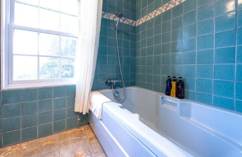 اتاق لوکس, Yufuin Hotel Mori No Terrace