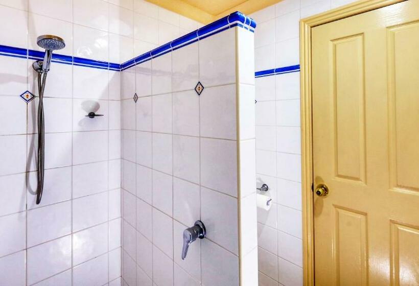 Номер Executive, Dalby Homestead Motel