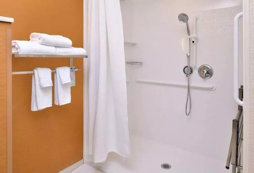 キングサイズベッドのスタンダードルーム, Fairfield Inn & Suites By Marriott Sacramento Airport Woodland