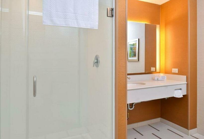 غرفة قياسية سرير كينج, Fairfield Inn & Suites By Marriott Sacramento Airport Woodland