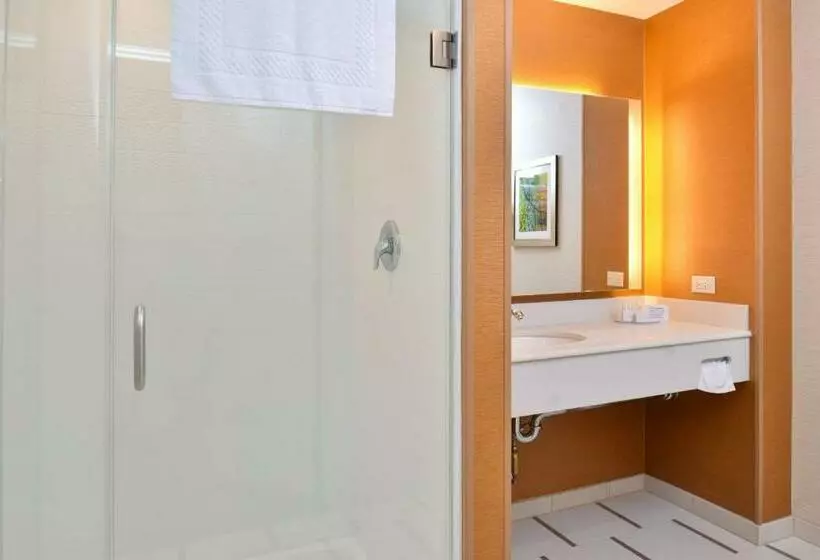 キングサイズベッドのスタンダードルーム, Fairfield Inn & Suites By Marriott Sacramento Airport Woodland