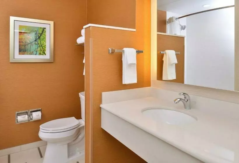 キングサイズベッドのスタンダードルーム, Fairfield Inn & Suites By Marriott Sacramento Airport Woodland