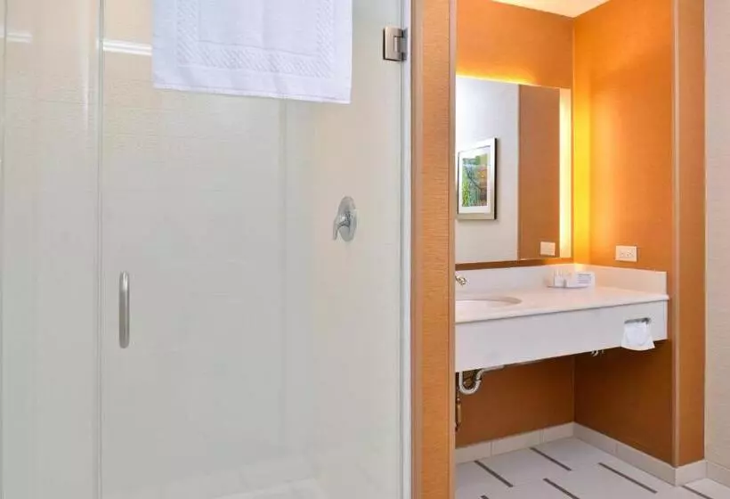 キングサイズベッドのスイートルーム, Fairfield Inn & Suites By Marriott Sacramento Airport Woodland