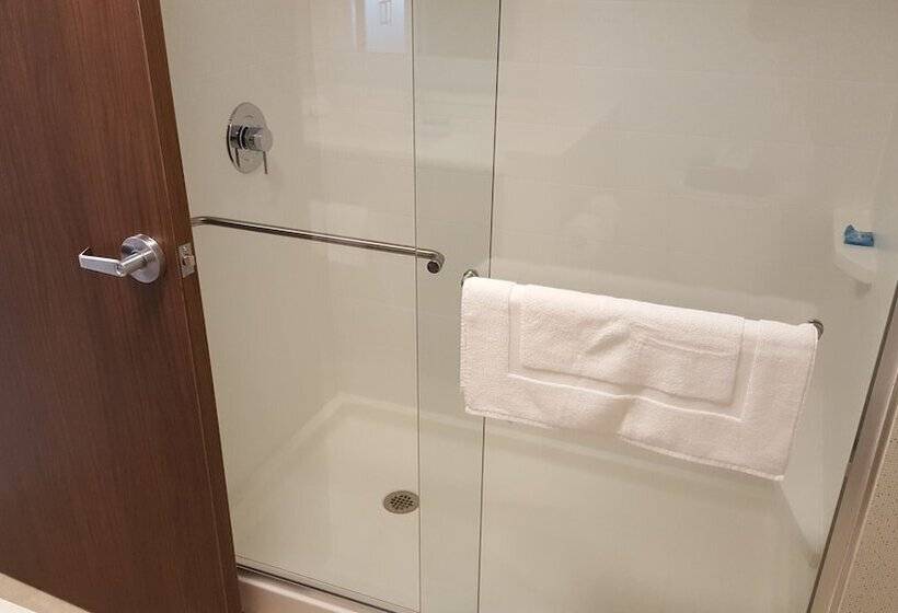Люкс, Holiday Inn Express & Suites Oswego, An Ihg