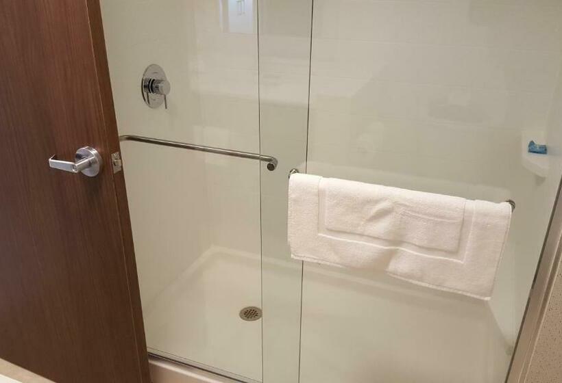 Номер Superior Кровать Кинг, Holiday Inn Express & Suites Oswego, An Ihg